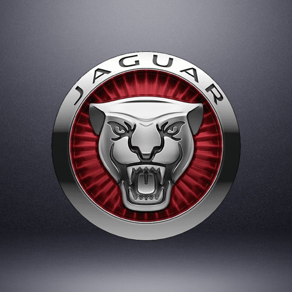 Jaguar – Hoppers Stoppers Custom Brake Upgrades